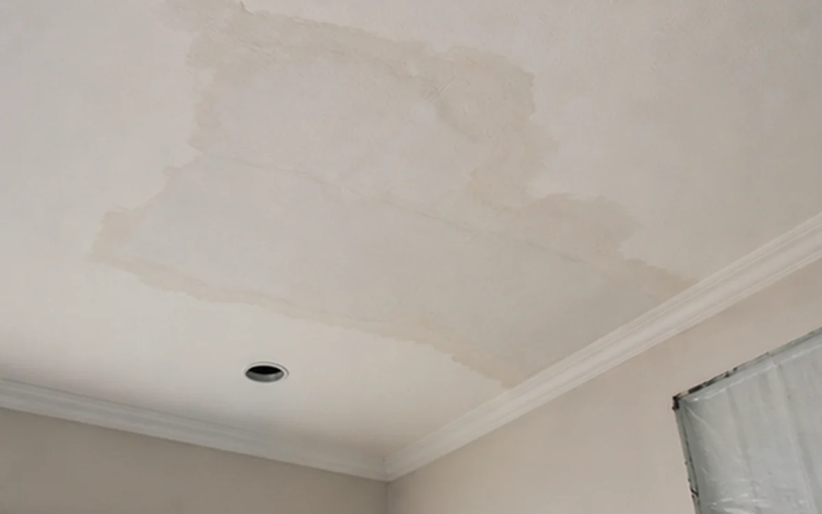 Ceiling Leak Repair Area example for Roof Leaking / Waterproofing